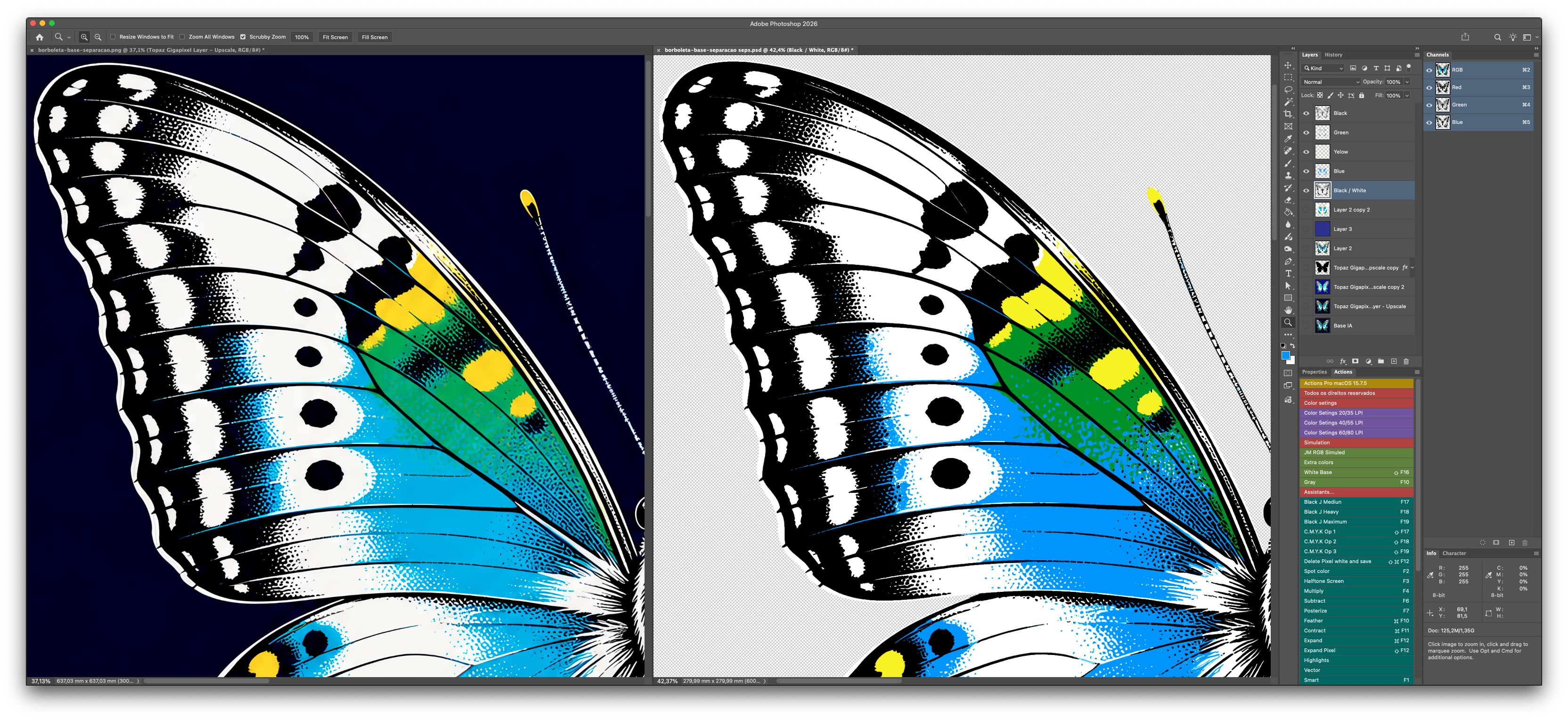 Butterfly in Photoshop before and after background removal