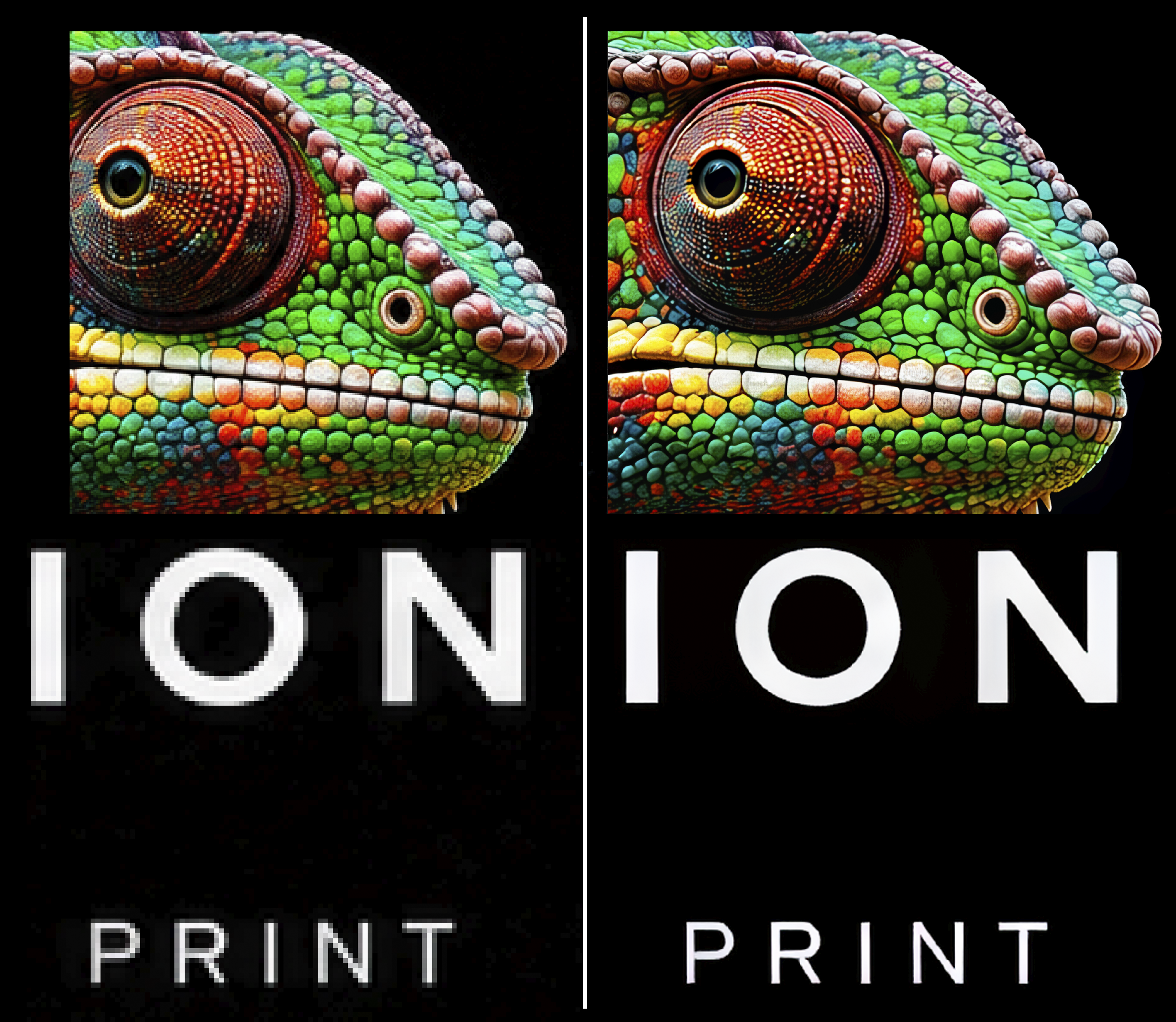 Close comparison of DTF chameleon artwork before and after image treatment and upscale